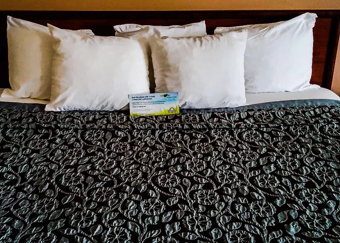 Days By Wyndham St Louis 2* Collinsville